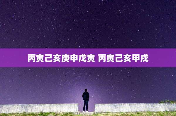 丙寅己亥庚申戊寅 丙寅己亥甲戌