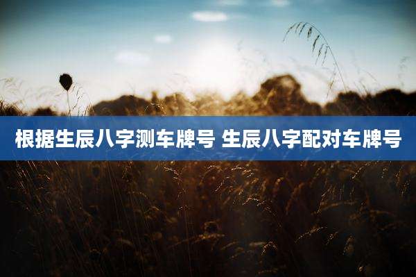 根据生辰八字测车牌号 生辰八字配对车牌号