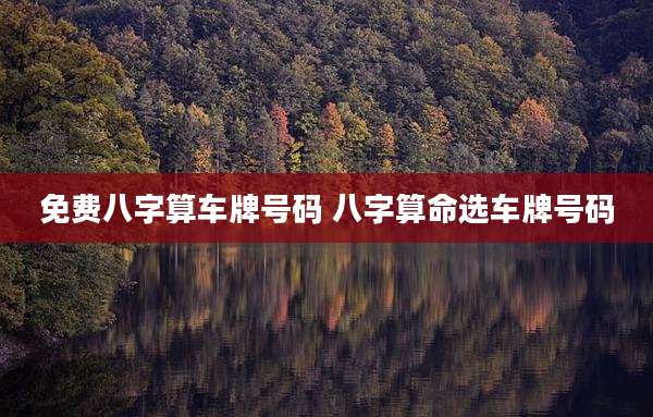 免费八字算车牌号码 八字算命选车牌号码
