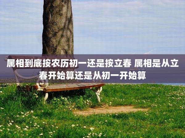属相到底按农历初一还是按立春 属相是从立春开始算还是从初一开始算
