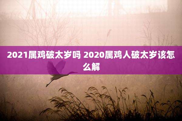 2021属鸡破太岁吗 2020属鸡人破太岁该怎么解