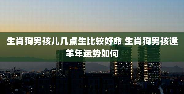 生肖狗男孩儿几点生比较好命 生肖狗男孩逢羊年运势如何