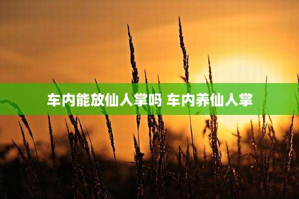车内能放仙人掌吗 车内养仙人掌