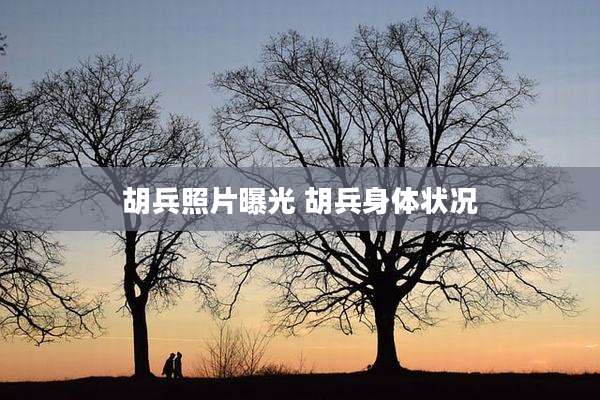 胡兵照片曝光 胡兵身体状况