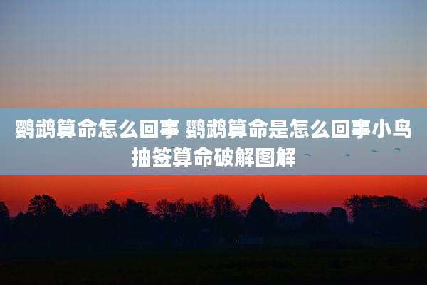 鹦鹉算命怎么回事 鹦鹉算命是怎么回事小鸟抽签算命破解图解