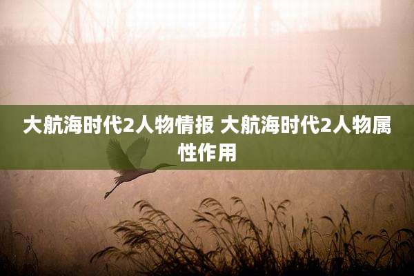 大航海时代2人物情报 大航海时代2人物属性作用