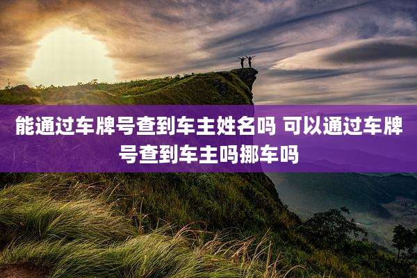 能通过车牌号查到车主姓名吗 可以通过车牌号查到车主吗挪车吗