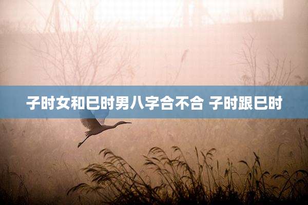 子时女和巳时男八字合不合 子时跟巳时