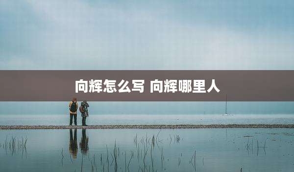 向辉怎么写 向辉哪里人