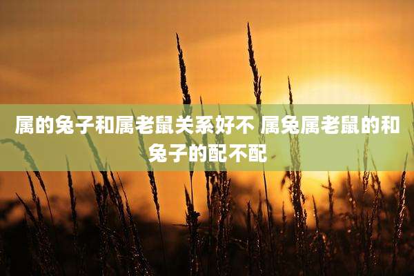 属的兔子和属老鼠关系好不 属兔属老鼠的和兔子的配不配