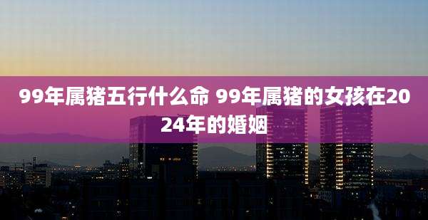 99年属猪五行什么命 99年属猪的女孩在2024年的婚姻