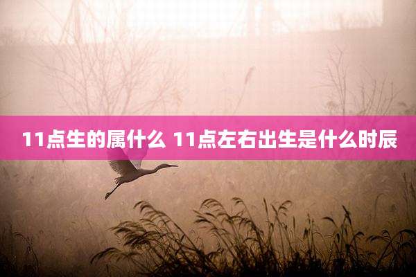 11点生的属什么 11点左右出生是什么时辰