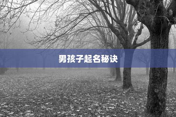 男孩子起名秘诀