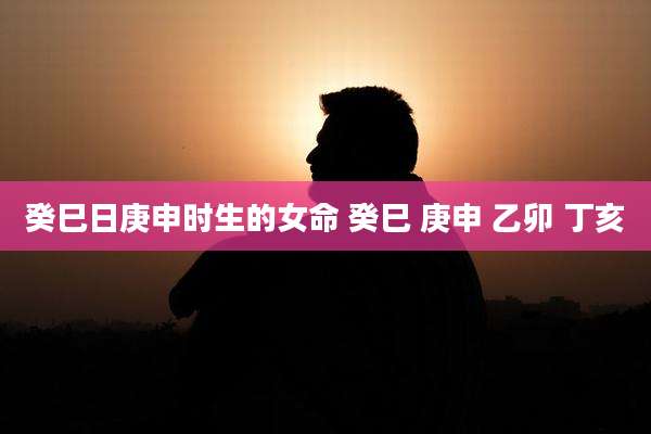 癸巳日庚申时生的女命 癸巳 庚申 乙卯 丁亥