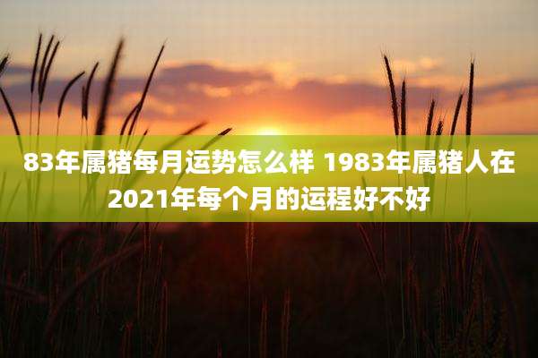 83年属猪每月运势怎么样 1983年属猪人在2021年每个月的运程好不好