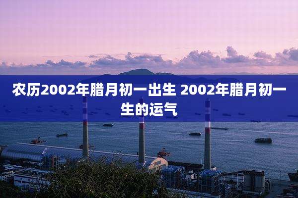 农历2002年腊月初一出生 2002年腊月初一生的运气