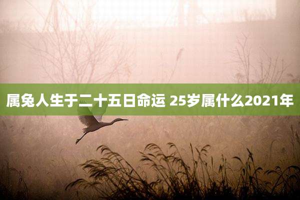属兔人生于二十五日命运 25岁属什么2021年