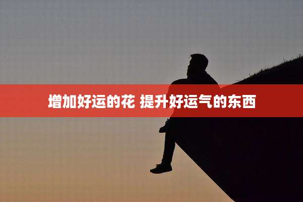 增加好运的花 提升好运气的东西