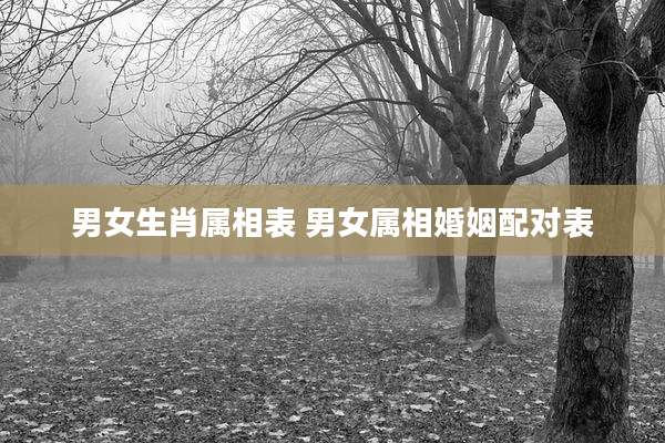 男女生肖属相表 男女属相婚姻配对表