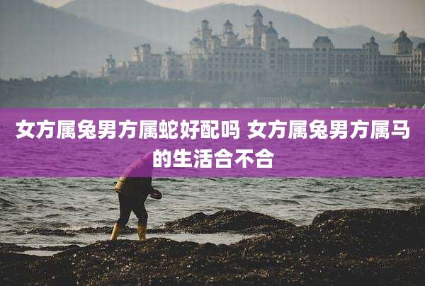 女方属兔男方属蛇好配吗 女方属兔男方属马的生活合不合