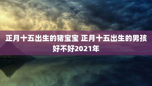 正月十五出生的猪宝宝 正月十五出生的男孩好不好2021年