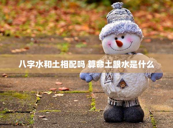 八字水和土相配吗 算命土跟水是什么