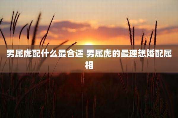男属虎配什么最合适 男属虎的最理想婚配属相