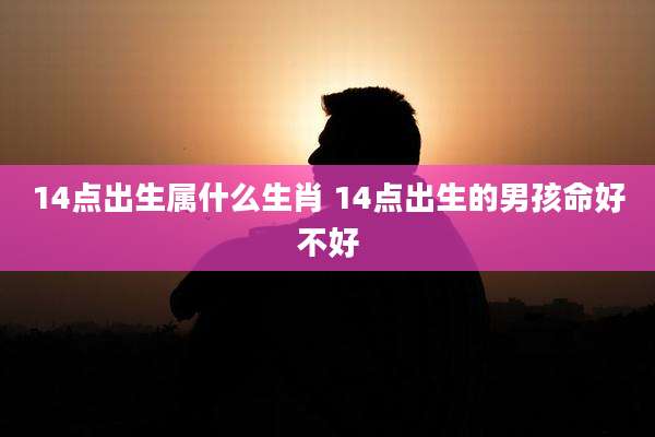 14点出生属什么生肖 14点出生的男孩命好不好