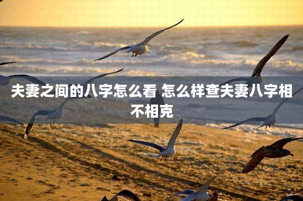 夫妻之间的八字怎么看 怎么样查夫妻八字相不相克