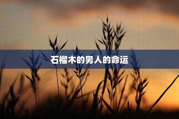 石榴木的男人的命运