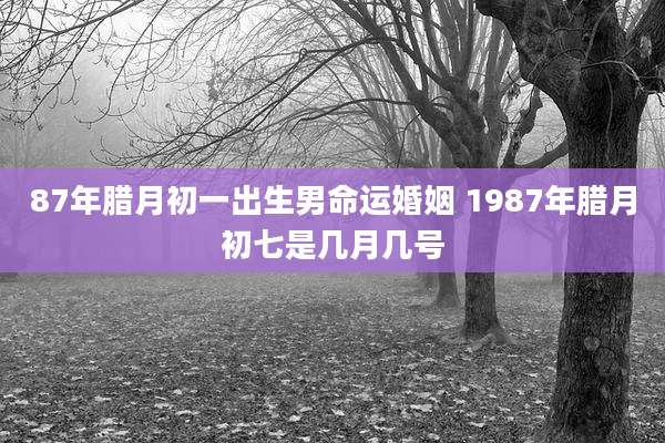 87年腊月初一出生男命运婚姻 1987年腊月初七是几月几号