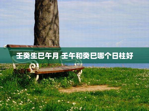 壬癸生巳午月 壬午和癸巳哪个日柱好