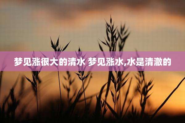 梦见涨很大的清水 梦见涨水,水是清澈的