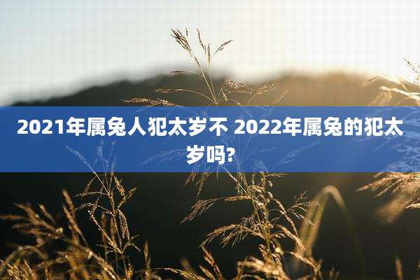 2021年属兔人犯太岁不 2022年属兔的犯太岁吗?