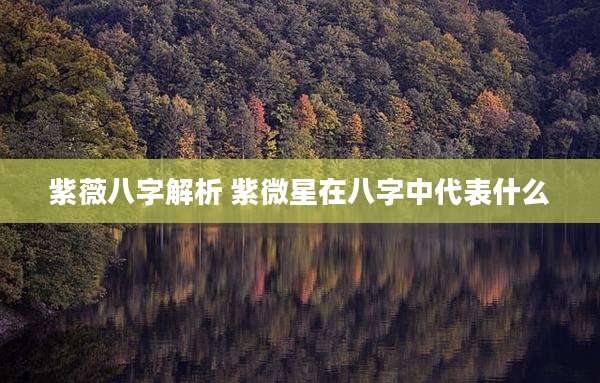 紫薇八字解析 紫微星在八字中代表什么