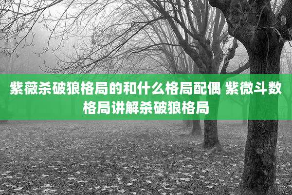 紫薇杀破狼格局的和什么格局配偶 紫微斗数格局讲解杀破狼格局