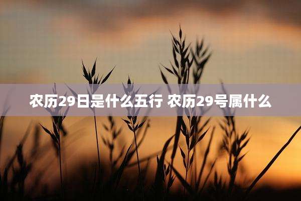 农历29日是什么五行 农历29号属什么