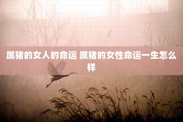 属猪的女人的命运 属猪的女性命运一生怎么样