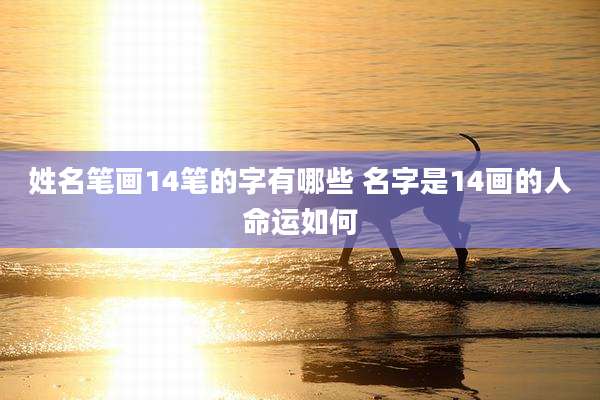 姓名笔画14笔的字有哪些 名字是14画的人命运如何