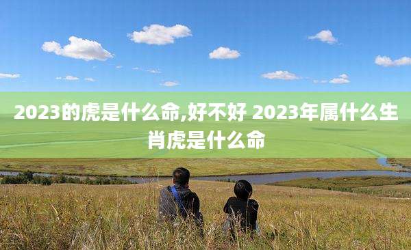 2023的虎是什么命,好不好 2023年属什么生肖虎是什么命