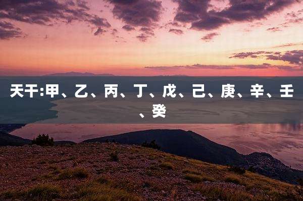 天干:甲、乙、丙、丁、戊、己、庚、辛、壬、癸