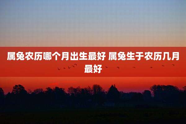属兔农历哪个月出生最好 属兔生于农历几月最好