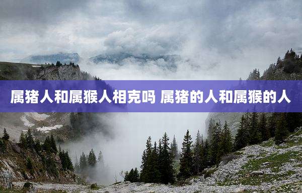 属猪人和属猴人相克吗 属猪的人和属猴的人