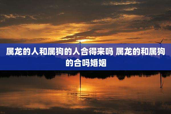 属龙的人和属狗的人合得来吗 属龙的和属狗的合吗婚姻