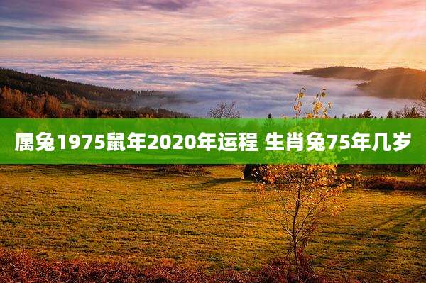 属兔1975鼠年2020年运程 生肖兔75年几岁