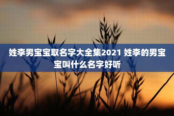 姓李男宝宝取名字大全集2021 姓李的男宝宝叫什么名字好听