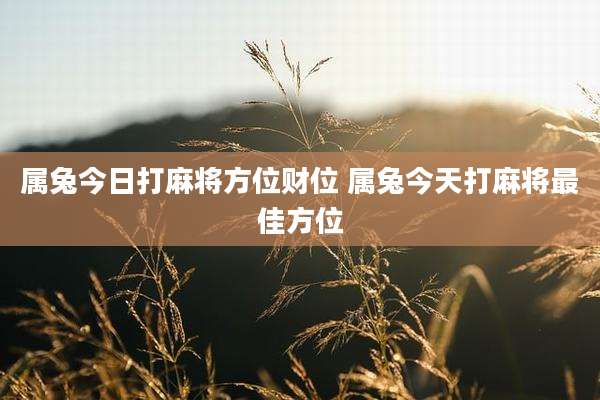 属兔今日打麻将方位财位 属兔今天打麻将最佳方位