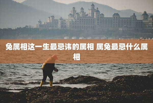 兔属相这一生最忌讳的属相 属兔最忌什么属相