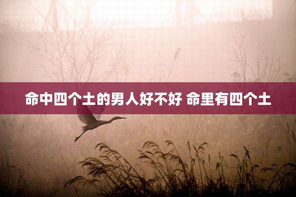 命中四个土的男人好不好 命里有四个土