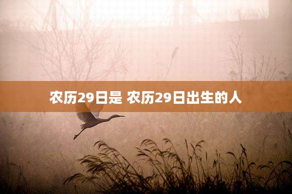 农历29日是 农历29日出生的人